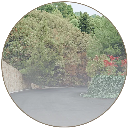 picturesque concrete driveway with slope & greenery